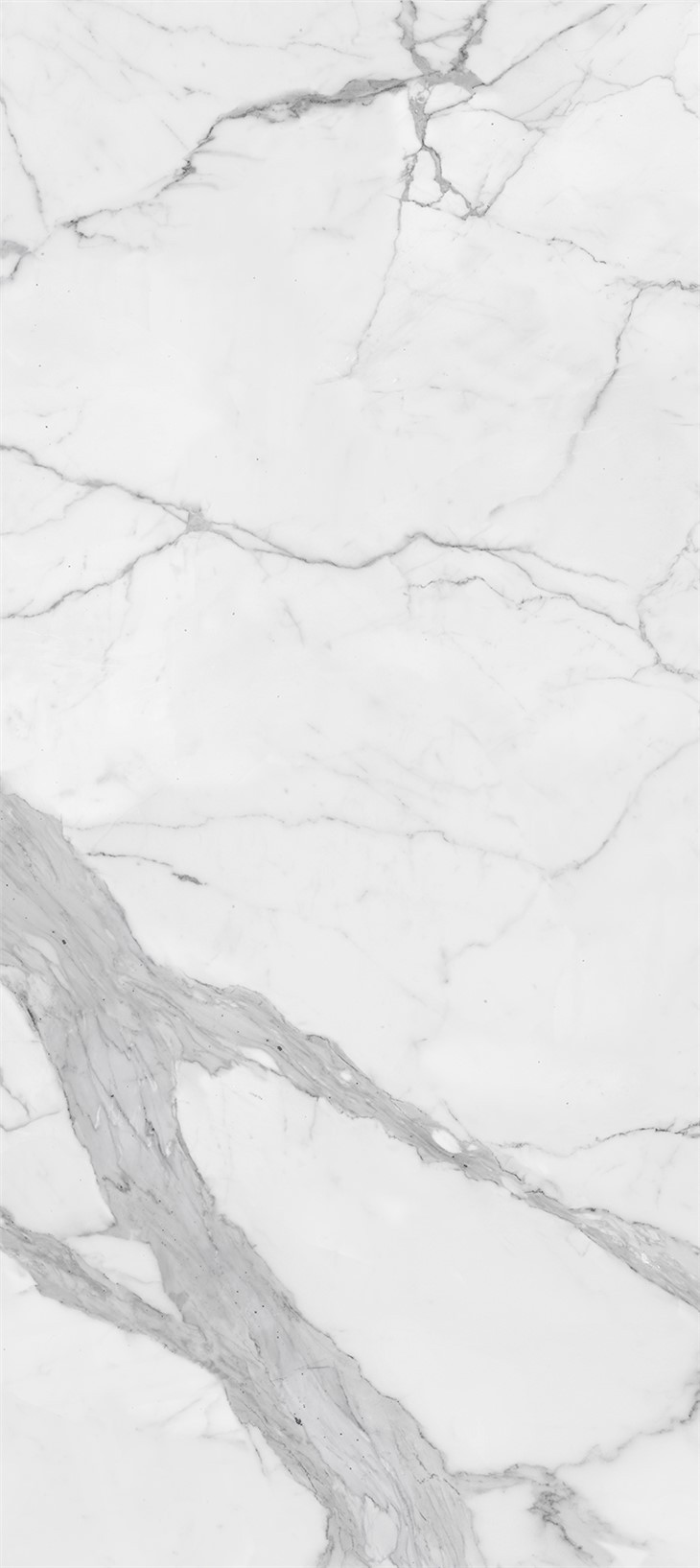 Royal Calacatta-porċellana Slab Countertops