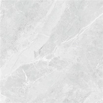Epoch Grey - Epoch Griż Ħares Irħam Illustrat Madum tal-Porċellana